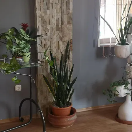 Hotello Apartmanhaz Es Panzio Zalaegerszeg Exterior photo