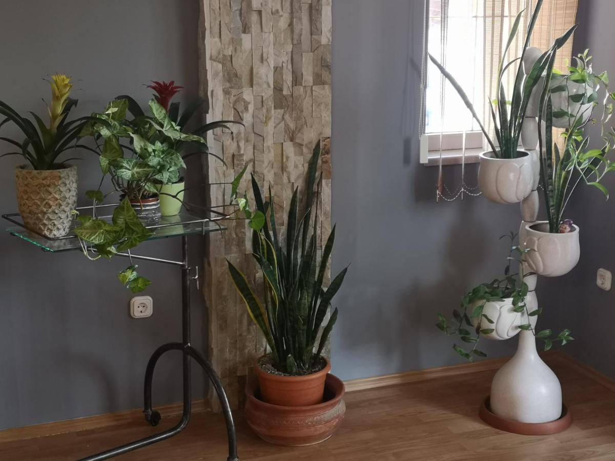 Hotello Apartmanhaz Es Panzio *